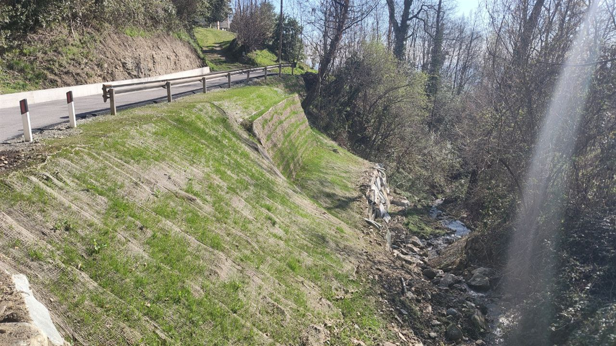 Sistemazione Via Ribetti